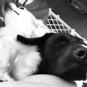 Meet your Posher, Candice